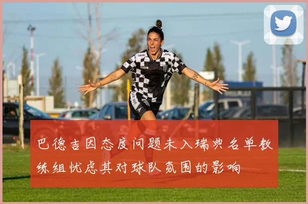 巴德吉因态度问题未入瑞典名单教练组忧虑其对球队氛围的影响